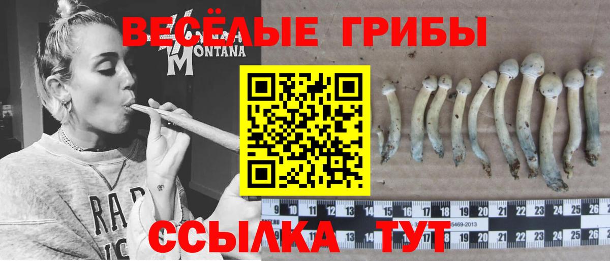 Галлюциногенные грибы Magic Shrooms Крымск